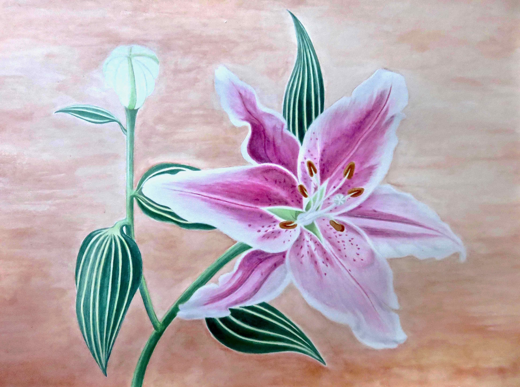 Peinture Le Lys Rose En Fleur 22 Watercolor A Pink Lily 22