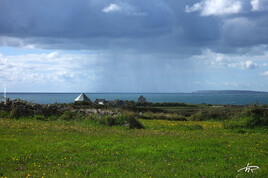 Grain sur la mer