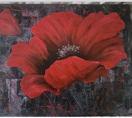 Coquelicot