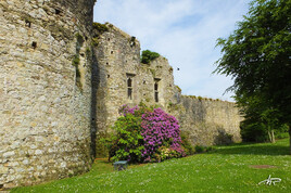 Les ruines fleuries