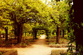 Le jardin magique