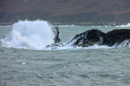 Rocher de sortie du port