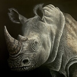 Portrait d’un rhinocéros