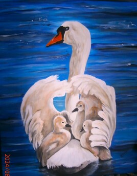 cygne et ses petits