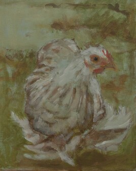 poule pékin