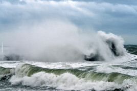 Bouillon froid