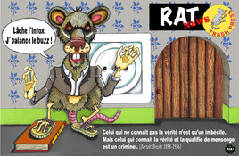 RAT NEWS