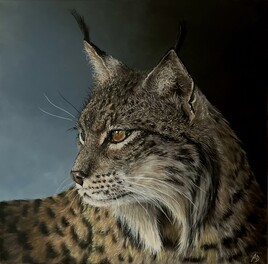 Le lynx, félin discret de nos contrées