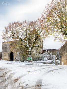 Matinée blanche.