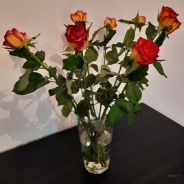 Bouquet de roses