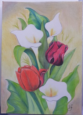 Tulipe et Arum