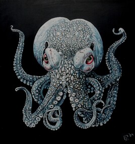 Octopus