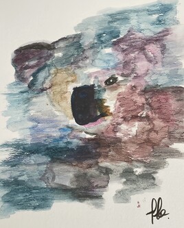 Aquarelle koala