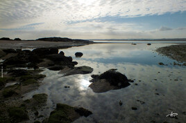 Marée basse dans l'estuaire