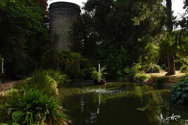 Fontaine du parc