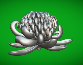 Chrysanthemum Incurve 3D Floral Model