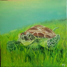 Tortue verte