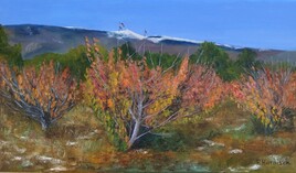 Automne sur le Ventoux