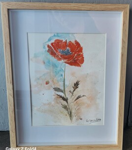 Coquelicot