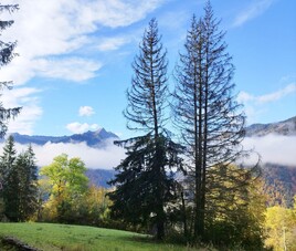 savoie