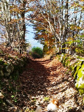 chemin de Montsec