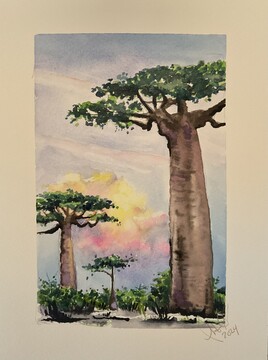 Baobab