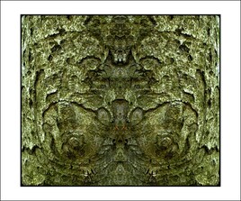 der brustdämonenbaum - the breast-demon's tree