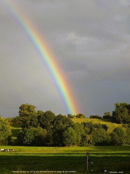 arc en ciel