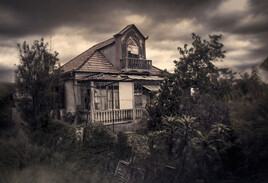 Forgotten house