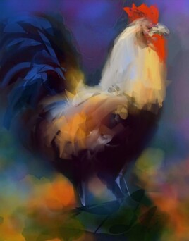 La fierté du coq...